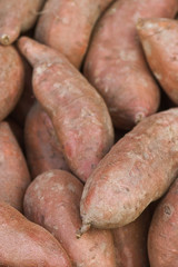 Sweet Potatoes Close Up