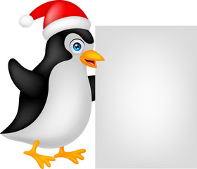 funny penguin cartoon xmas with blank sign