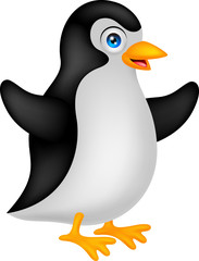 Obraz premium funny penguin cartoon