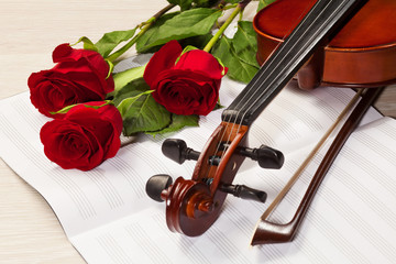 Fototapeta premium Red roses and a violin