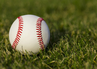 Baseball on the field with green grass