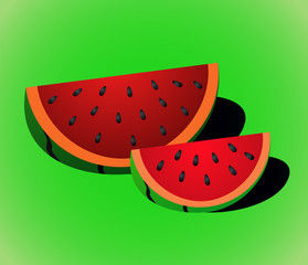 vector watermelon slice