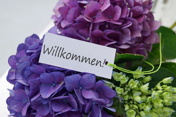 Herzlich Willkommen!