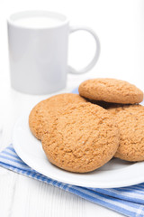 oatmeal cookies on a plate and cup of milk