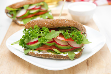 sandwich with cottage cheese, greens and vegetables