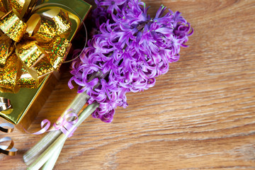 Obraz na płótnie Canvas Hyacinth flower and gift box