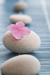 Fototapeta na wymiar Zen kamienie i różowe kwiaty