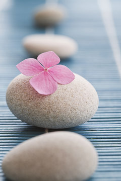 Zen stones and pink flowers