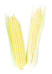 corn