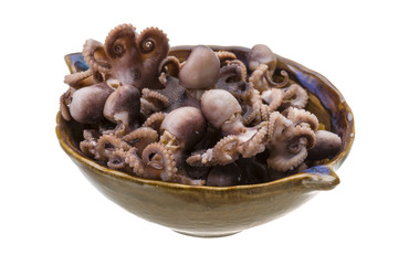 Boiled Octopus