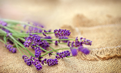 Selective focus on lavender