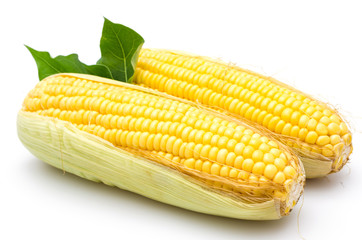Corn