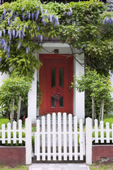 Wisteria grows around doorway