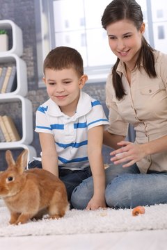 Mum and son with pet rabbit at home