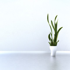 Weiße Wand mit grüner Topfpflanze - 55977335
