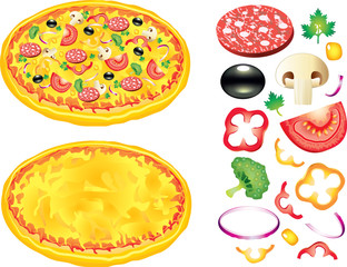 Pizza and ingredients vector illustration
