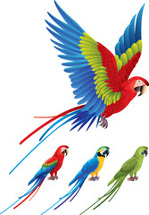 Fototapeta premium Papuga Ara rozpostarta skrzydła i siedzący na drzewie Aras
