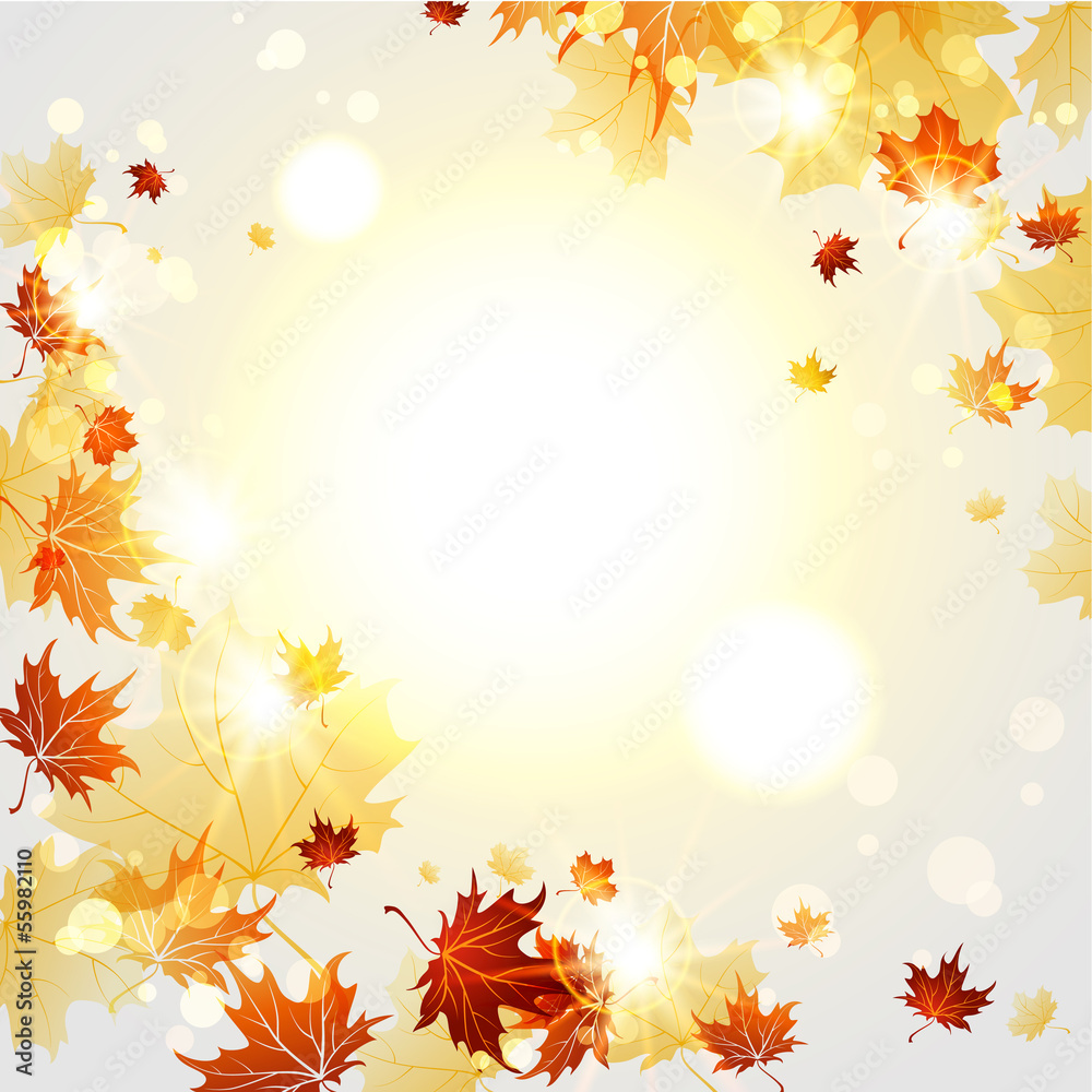 Wall mural bright autumn background with maple leaves