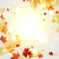 Naklejka na ściany i meble Bright autumn background with maple leaves