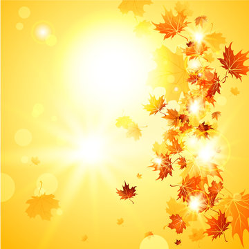 Beautiful fall background  with falling leaves