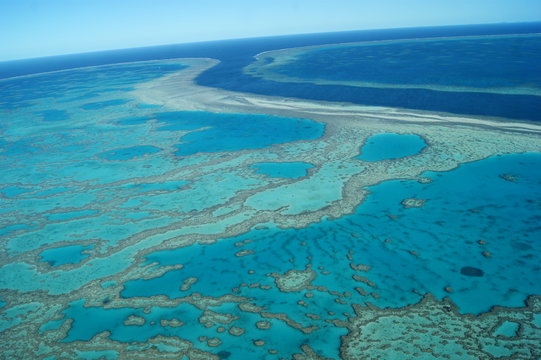grande barri&egrave;re de corail