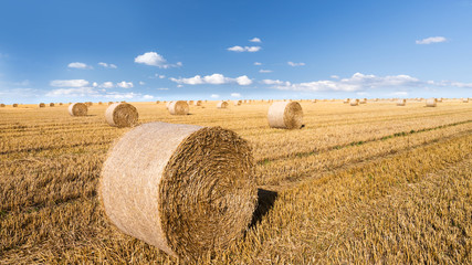 straw bales in august