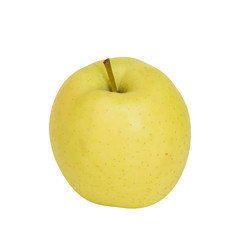 Golden apple isolated