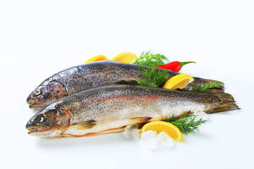 Two fresh trout