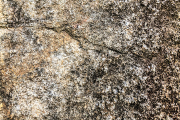 Cracked concrete surface