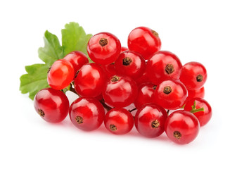 Red Currant