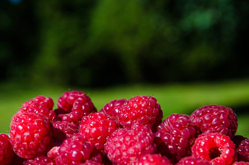 Raspberries