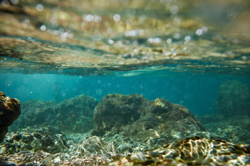 Fototapeta na wymiar underwater rock background
