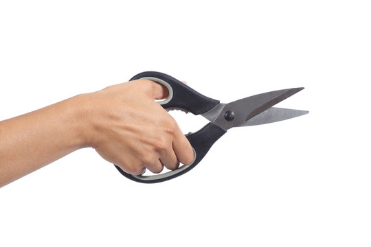 Woman Hand Holding A Kitchen Scissors