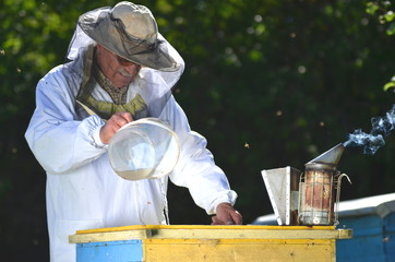 Pszczelarz nalewa pszczołom syrop przed okresem zimowym