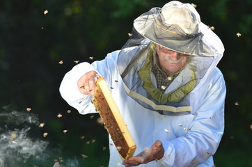 Doświadczony pszczelarz podczas inspekcji jesiennej w pasiece