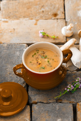 Mushroom soup stew
