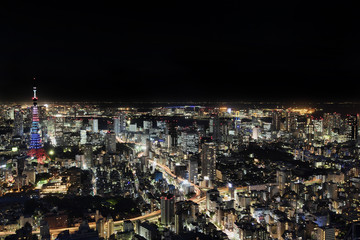Fototapeta na wymiar Tokyo Skyline
