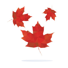 red maple leaf isolated on white background. Vector