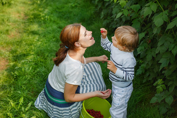 Young mother and her little son picking raspberries on farm in G
