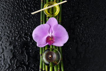 orchid and bamboo grove ,zen stone ,massage oil