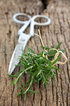 Sprigs of rosemary on an old board.