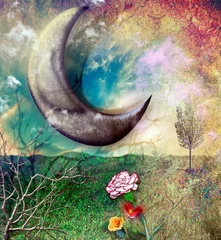 Deurstickers Magische maan op het platteland © Rosario Rizzo