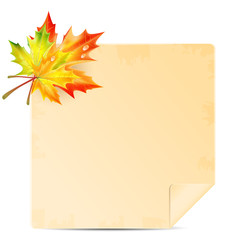 .background with autumn leaves and sheet of paper into a cell.au