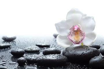 Crédence en verre imprimé Orchidée orchidée blanche et pierres noires humides