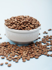 raw lentil in white bowl
