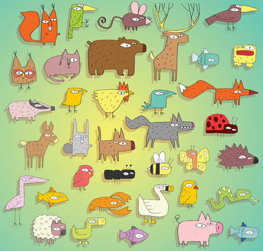 Funny Animals Collection in colours, with outlines and shadows