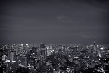 Obraz na płótnie Canvas Tokyo Skyline