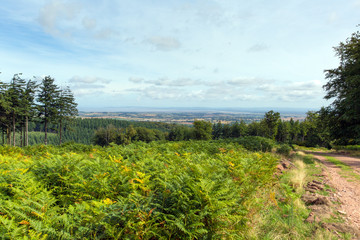 Fototapeta na wymiar View from Quantock Hills Somerset towards Bristol Channel
