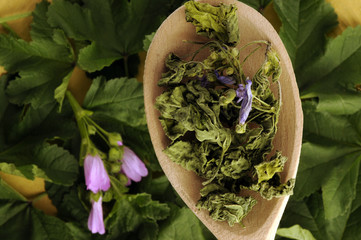 Malva © Comugnero Silvana