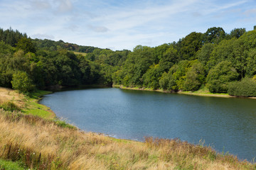Fototapeta na wymiar Hawkridge reservoir Quantock Hills Somerset England